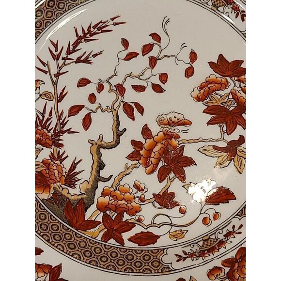 VTG Copeland Spode India Tree Orange Rust 7.½" Scalloped Salad Plate Red Trim - Picture 3 of 10